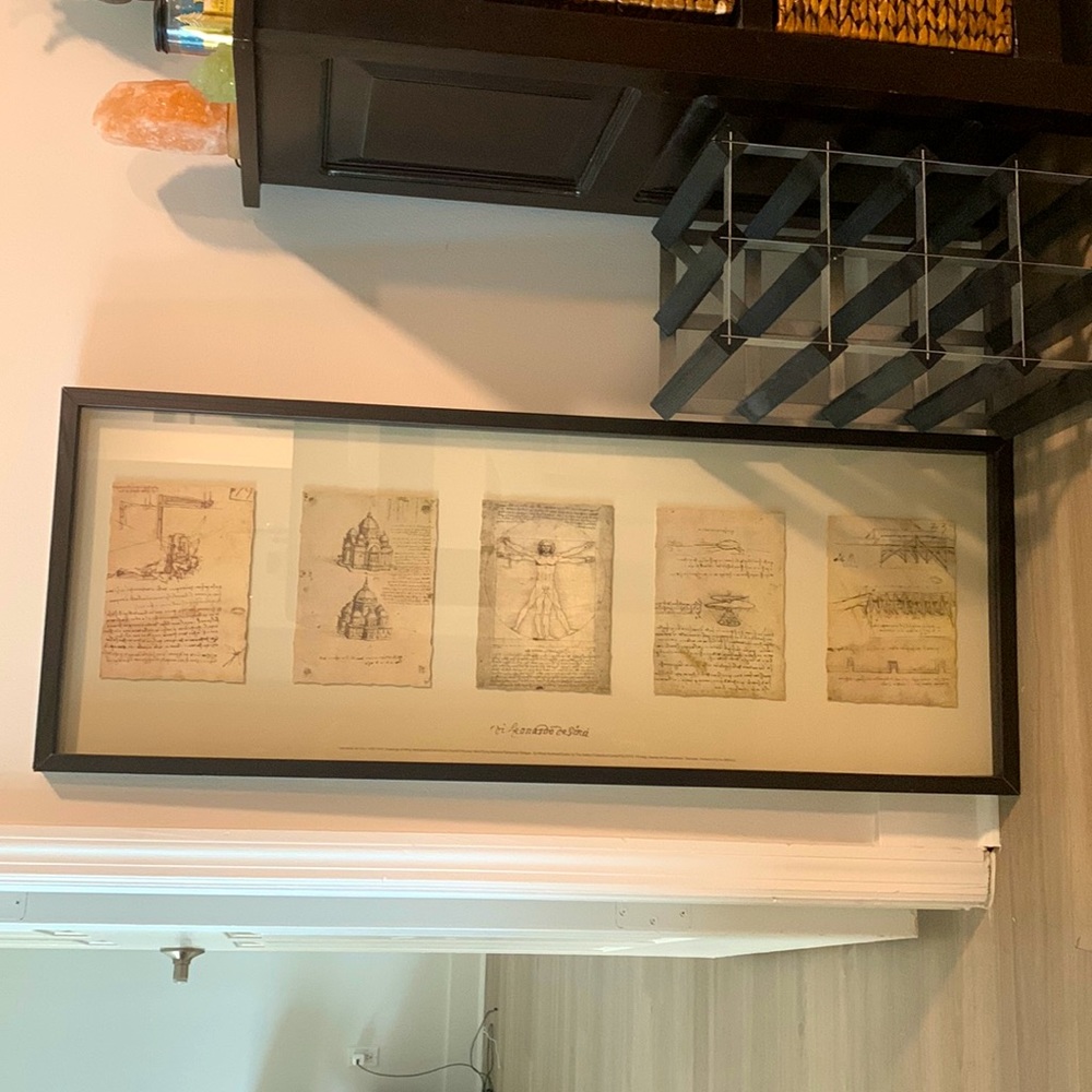 Leonardo Da Vinci Drawings: wing mechanism, centralized church, Vitruvius, etc
